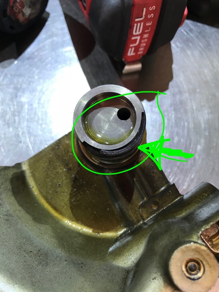 Unhappy Kitty Jaguar Check Engine Light On Bringing Back The Purr